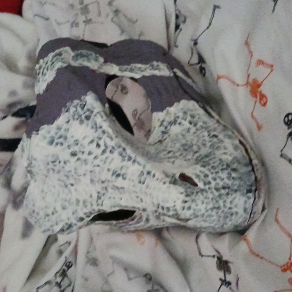 Dino Skull